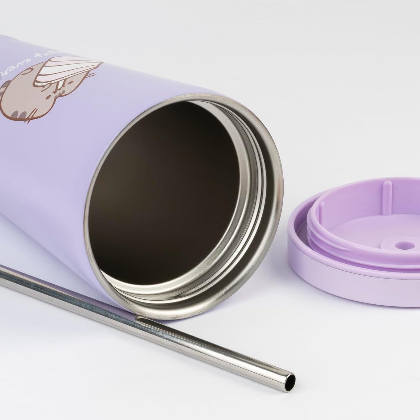 Pusheen Insulated Tumbler with Lid and Straw - 18.6 Oz Tumbler Cup with Straws